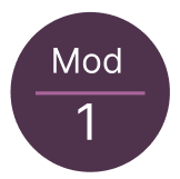 Module 1