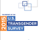 Reflections On the 2015 U.S. Transgender Survey